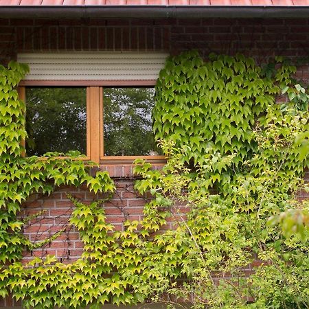 Ferienwohnung Meinersen Екстериор снимка